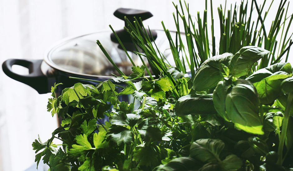 Conserver les herbes fraîches plus longtemps : 3 méthodes